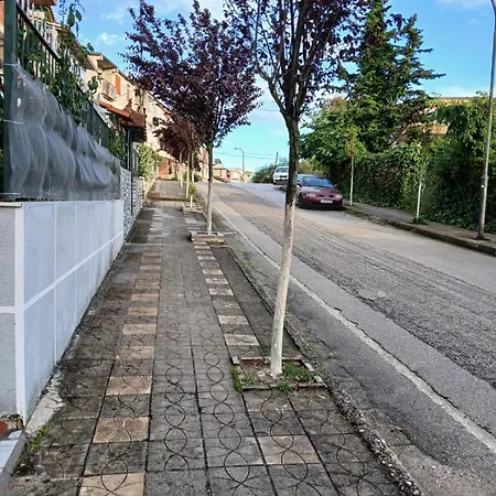 Goni * Sarandë